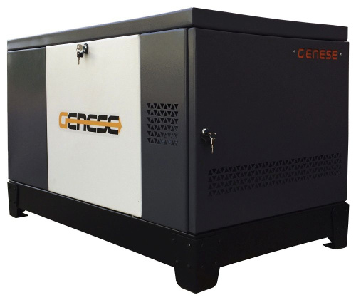 Газовый генератор Genese Pro 17000 T Neva в кожухе